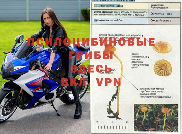 гидра Балахна