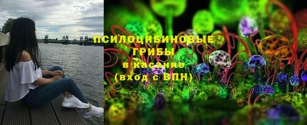 ECSTASY Покачи