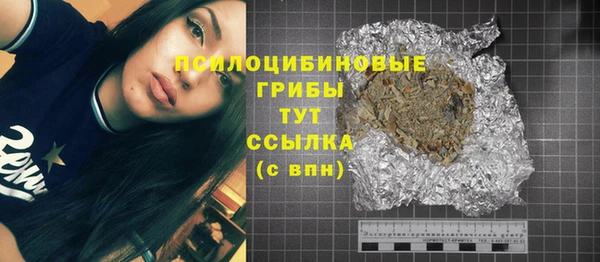 гидра Балахна