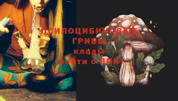 твердый Баксан