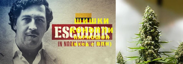 твердый Баксан